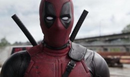 山猫第一波爆料视频,探秘神秘生物的神秘面纱